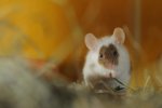 DSC_5358.jpg