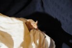 DSC_1548.jpg