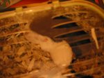 2011-11-24 23-30-56.JPG