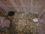 2011-11-30 11-28-51.JPG