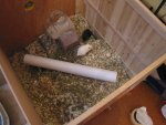2011-11-30 11-39-16.JPG