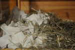 DSC_5411.jpg