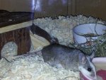 20111203_194622.jpg
