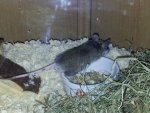 20111203_194805.jpg