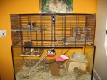 20111204 468.jpg