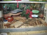 20111204 469.jpg