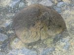 2011-09-13_17-39-25_874.jpg