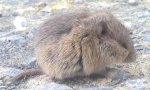 2011-09-13_17-42-24_843.jpg