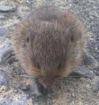 2011-09-13_17-43-19_288.jpg