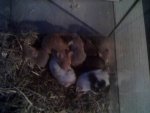 15-12-11_0857.jpg