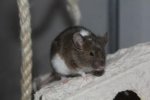 IMG_9529 - Kopie.jpg