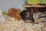 IMG_9536 - Kopie.jpg