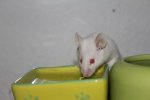 IMG_9533 - Kopie.jpg