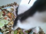 Foto0491.jpg