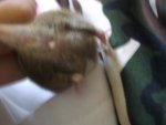BILD1066.jpg