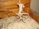 DSC00519.jpg