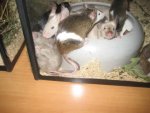 IMG_0123.jpg