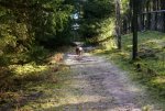 DSC00098.jpg