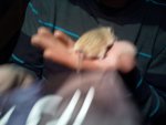2012-01-19 21.02.57.jpg