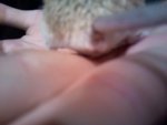 2012-01-19 21.03.38.jpg