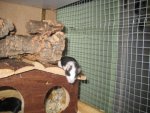 IMG_2070.jpg
