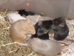 DSC00871.jpg