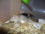DSC00883.jpg