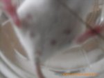 DSCI2569.jpg