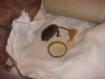 DSC05335.jpg
