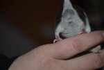 DSC_0045.jpg