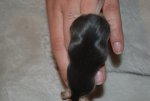 DSC_0063.jpg