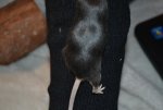 DSC_0065.jpg