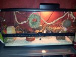 2012-04-03 02.40.23.jpg