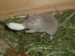 5.4.2012 002.jpg