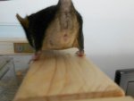 DSCN2297.jpg