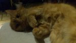DSC_0915.jpg