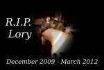 RIP Lory - Kopie.jpg