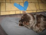 IMG_0282.jpg