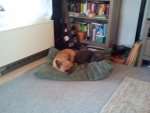 DSC00036.jpg