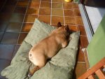 DSC00011.jpg