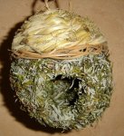DSC08939.jpg