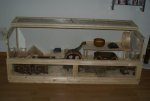 DSC09457.jpg