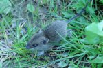 DSC_5979.jpg