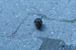 DSC_5985.jpg