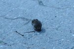 DSC_5988.jpg