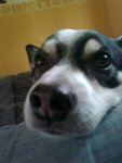 Foto0499.jpg