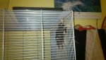 DSC_0177.jpg