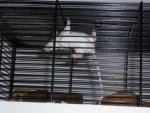 2012 055.jpg