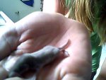 Snapshot_20120529_2.JPG