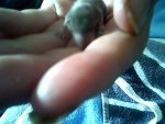 Snapshot_20120530.JPG
